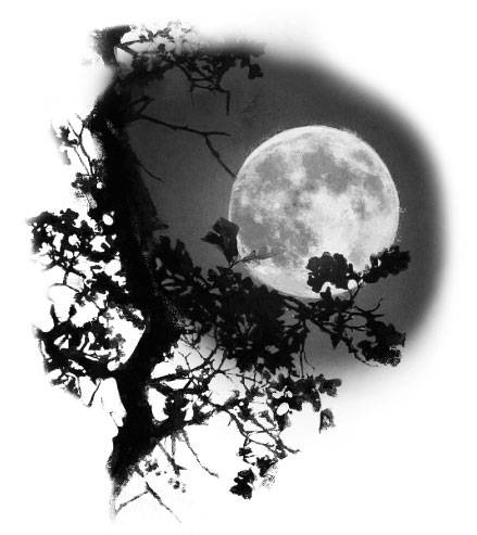 «Луна костяной волшебницы» картинка № 1