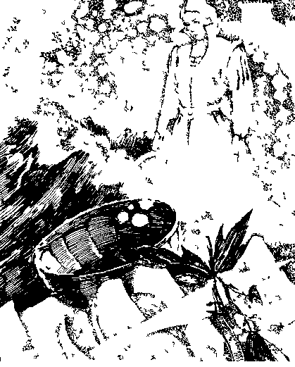 «Янтарь из Квейса» картинка № 1