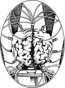 «Лаборатория Дубльвэ» картинка № 1