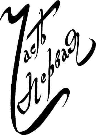 «Чаткальский тигр» картинка № 3