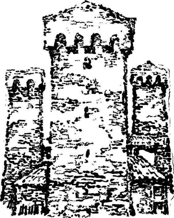 «Купина» картинка № 2