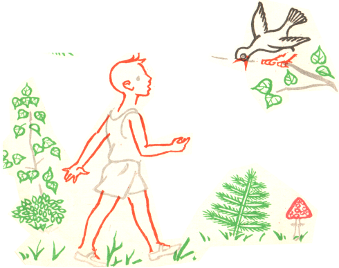 «Снегирь» картинка № 8