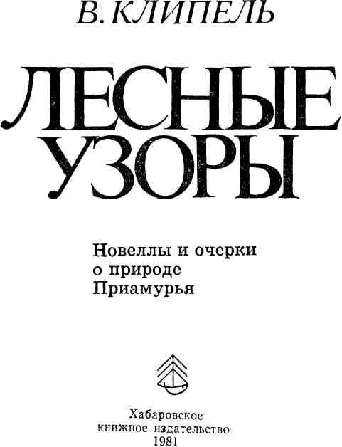 «Лесные узоры» картинка № 1