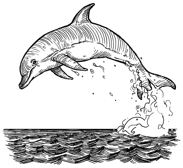 «Народ, или Когда-то мы были дельфинами» картинка № 2