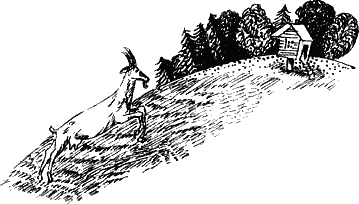 «Коза-дереза» картинка № 5