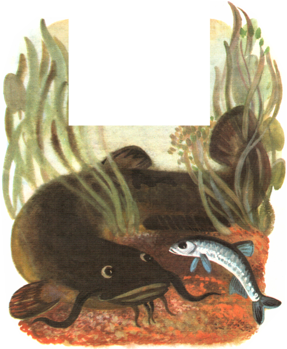 «Разговоры на дне» картинка № 4