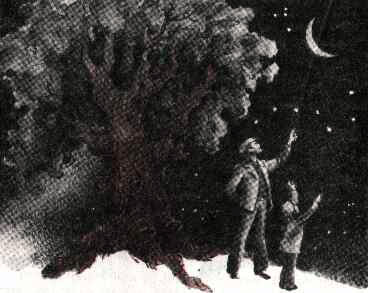 «Желуди» картинка № 1