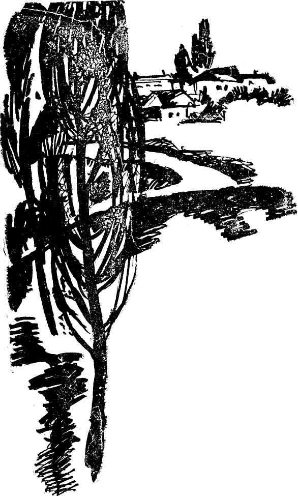 «Позиция» картинка № 2