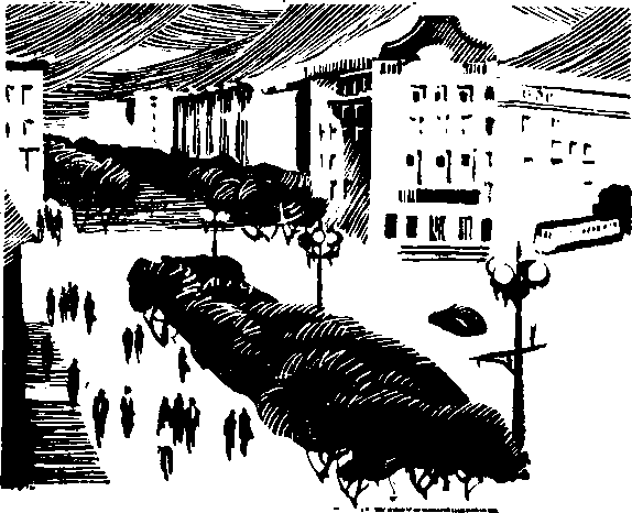 «Тонкий профиль» картинка № 5