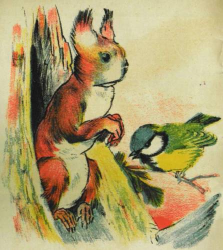 «Белка» картинка № 2