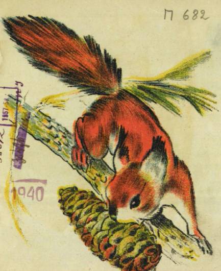 «Белка» картинка № 3