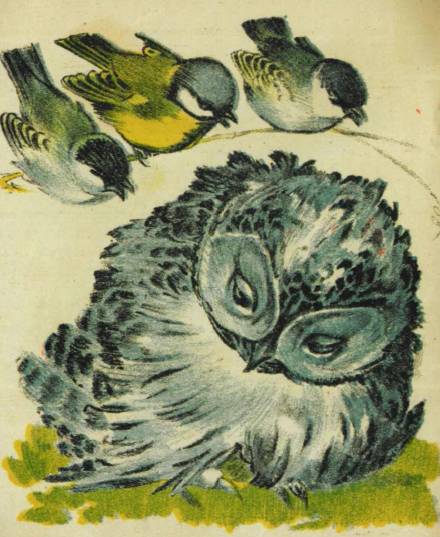 «Белка» картинка № 4