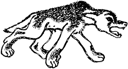 «Чок» картинка № 3