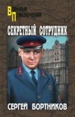 Бортников Сергей Иванович - Секретный сотрудник - читать книгу