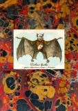 Кирога Орасио - Бокал крови и другие невероятные истории о вампирах - читать книгу