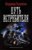 Поселягин Владимир Геннадьевич - Путь истребителя - читать книгу