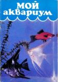 Алфимова Н - Мой аквариум - читать книгу