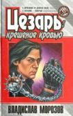 Морозов Владислав Викторович - Крещение кровью - читать книгу