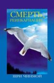 Чинмой Шри - Смерть и реинкарнация: Путешествие Вечности - читать книгу