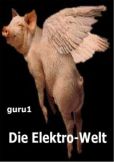 guru1  - Die Elektro-Welt - читать книгу