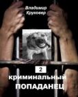 Круковер Владимир Исаевич - Криминальный попаданец 2 - читать книгу