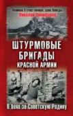 Никифоров Николай - Штурмовые бригады Красной Армии в бою - читать книгу
