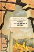 Зверев Максим Дмитриевич - Тайна двухэтажного города - читать книгу