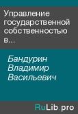 Бандурин Владимир Васильевич - Управление государственной собственностью в условиях переходной экономики - читать книгу