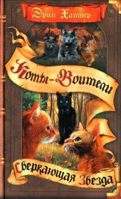 Сверкающая Звезда. Хантер Эрин - читать в Рулиб