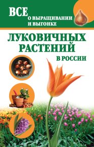 Все о выращивании и выгонке луковичных растений в России. Литвинова Татьяна - читать в Рулиб