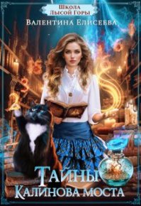 Школа Лысой Горы. Тайны Калинова моста.. Елисеева Валентина - читать в Рулиб