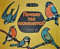 Почему так называются?. Ильин Евгений - читать в Рулиб