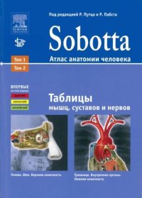 Sobotta. Атлас анатомии человека - таблицы мышц, суставов и нервов. Коллектив авторов - читать в Рулиб