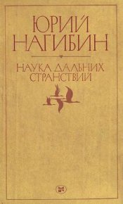 Дорожное происшествие. Нагибин Юрий - читать в Рулиб