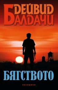 Бягството. Балдачи Дейвид - читать в Рулиб