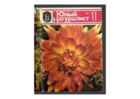 Юный натуралист 1984 №11. «Юный натуралист» Журнал - читать в Рулиб