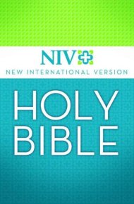 Holy Bible: New International Version. Библия - читать в Рулиб