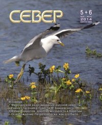На что похоже время. Макарова-Гриценко Светлана - читать в Рулиб