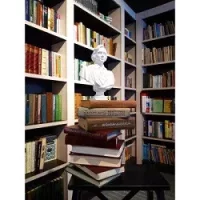 Яшмовая трость . Ренье Анри - читать в Рулиб