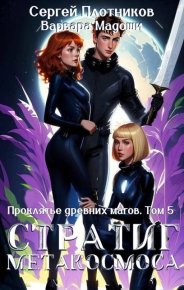 Стратиг метакосмоса. Мадоши Варвара - читать в Рулиб
