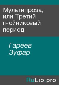 Мультипроза, или Третий гнойниковый период. Гареев Зуфар - читать в Рулиб