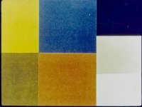 Элли спасает Страшилу. Волков Александр - читать в Рулиб