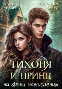 Тихоня и Принц на грани отчисления. Князева Алиса - читать в Рулиб