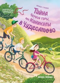 Тайна Черной горы, или Каникулы в Чудесатово. Гурина Ирина - читать в Рулиб