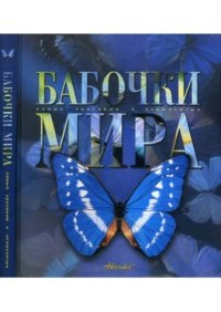 Бабочки мира. Коллектив авторов - читать в Рулиб