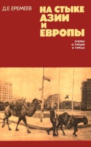 На стыке Азии и Европы. Очерки о Турции и турках. Еремеев Д. - читать в Рулиб