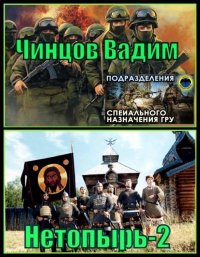 Нетопырь 2. Чинцов Вадим - читать в Рулиб