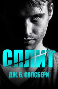 Сплит (ЛП). Солсбери Дж. Б. - читать в Рулиб