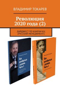 Революция 2020 года (2). Токарев Владимир - читать в Рулиб