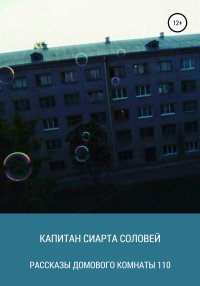 Рассказы домового комнаты 110. Капитан Сиарта Соловей - читать в Рулиб